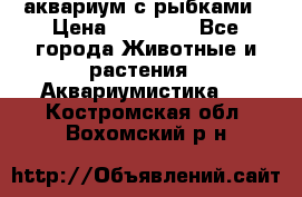 аквариум с рыбками › Цена ­ 15 000 - Все города Животные и растения » Аквариумистика   . Костромская обл.,Вохомский р-н